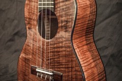 Black Walnut Tenor with Ebony Binding