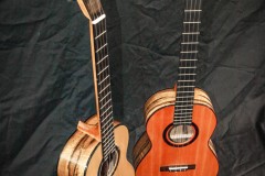 Baritone Ukuleles